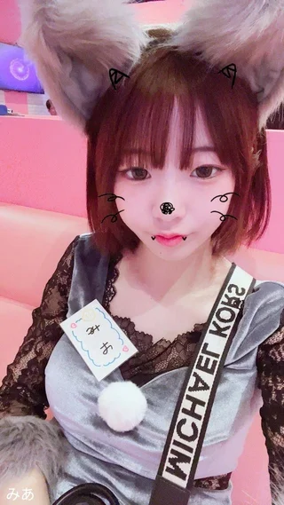 キャストイメージ