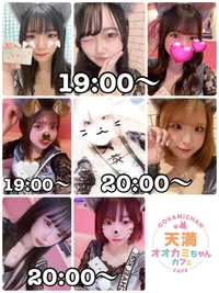 6/24(火)　本日出勤のオオカミちゃん🐺