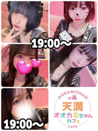 7/15(火)　本日出勤のオオカミちゃん🐺