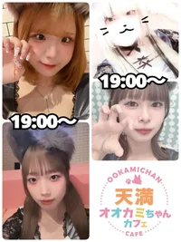 8/22(金)　本日出勤のオオカミちゃん🐺