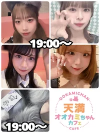 9/3(水)　本日出勤のオオカミちゃん🐺