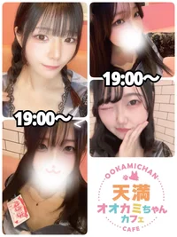 9/16(火)　本日出勤のオオカミちゃん🐺