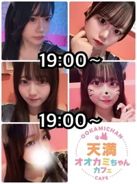 🐺本日の出勤情報🐺