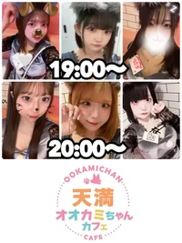 🐺本日の出勤情報🐺