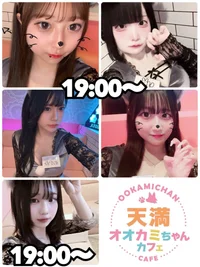 🐺本日の出勤情報🐺