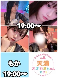 🐺本日の出勤情報🐺