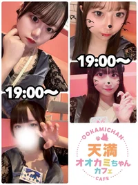 🐺本日の出勤情報🐺