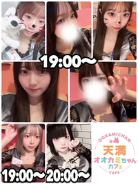 本日の出勤情報🐺