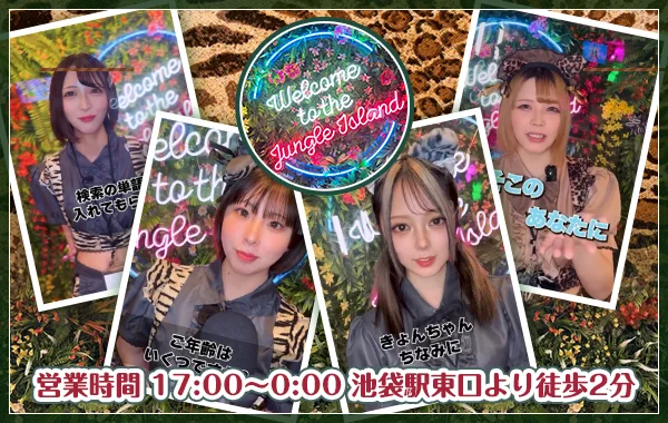 Jungle Islandのイメージ