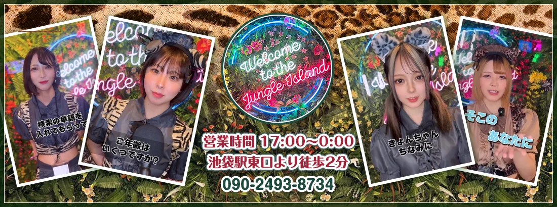 Jungle Islandのイメージ