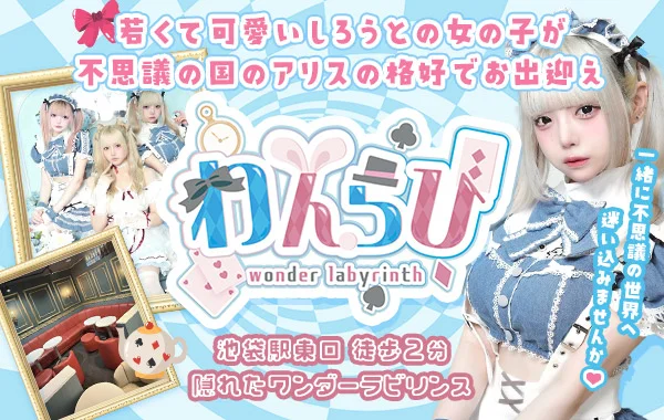 ワンダーラビリンスのイメージ