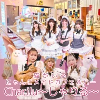 にゃんこメイドCafe＆Bar Charilu～しゃりる～