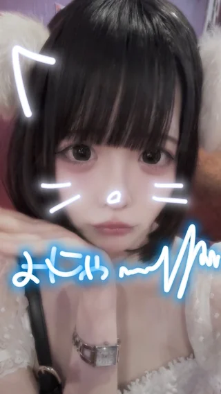 よにゃさんの写真