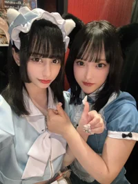 投稿：2025年5月24日 16:37