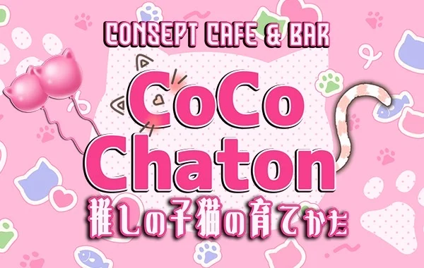 CoCo Chaton