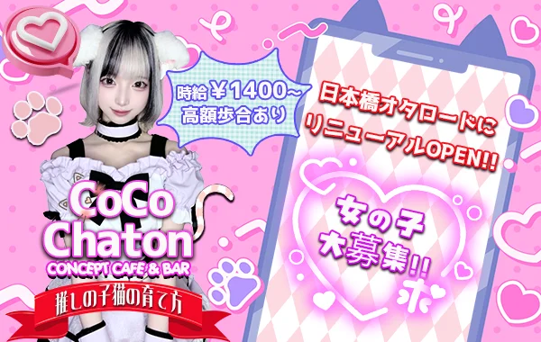 CoCo Chatonのイメージ