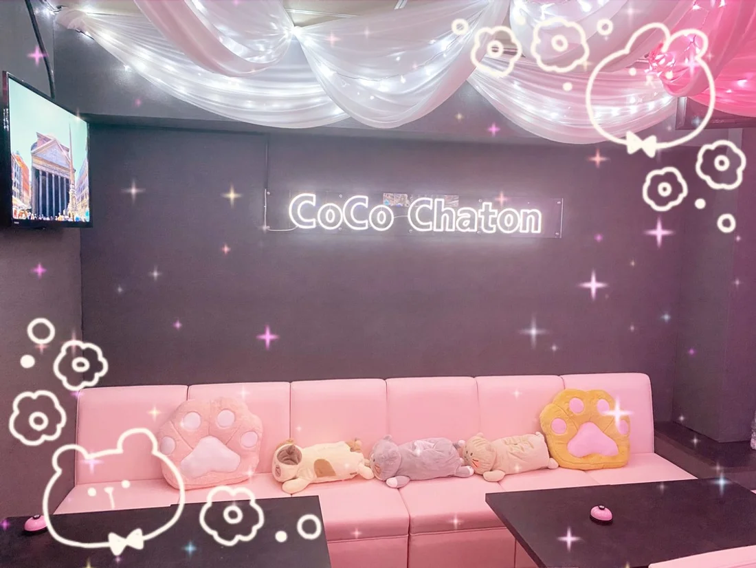 CoCo Chaton