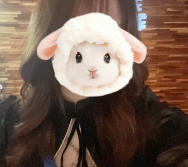 たこさんの画像1枚目