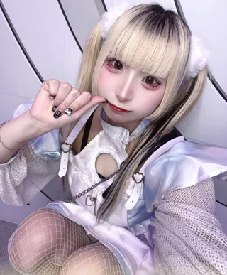 ねこはるさんの写真