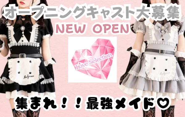 Love Selection (ラブ セレクション）