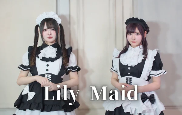 Lily Maidのイメージ