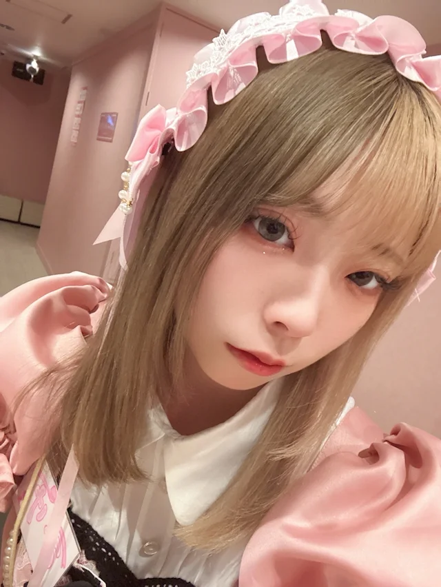 みけさんの画像1枚目