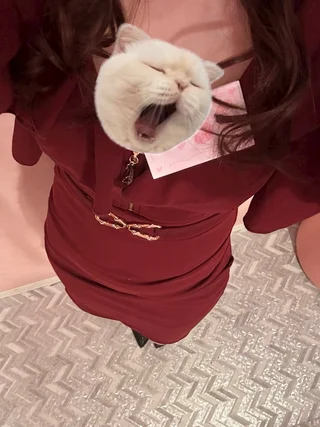 みるく🩷ぴんもん梅田店