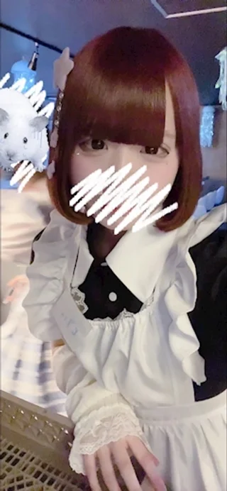 とりさんさんの写真