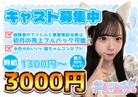 コンカフェデビューにおすすめ👍