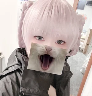 せふぃ