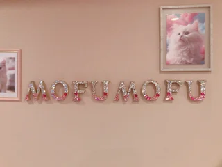 新人猫ちゃんさんの画像