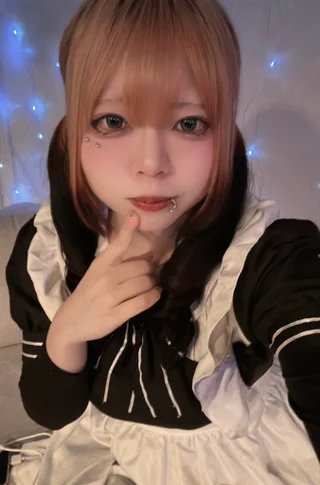 ちわわさんの写真