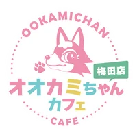 今すぐ応募！梅田のコンカフェでアルバイトするならオオカミちゃんカフェ梅田店