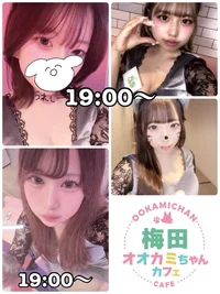 6/24(火)　本日出勤のオオカミちゃん♡