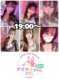 9/22(月)　本日出勤のオオカミちゃん🐺