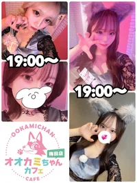 本日の出勤情報🐺