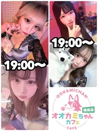 本日の出勤情報🐺