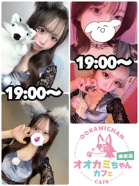 本日の出勤情報🐺