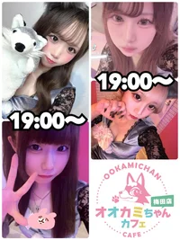 本日の出勤情報🐺