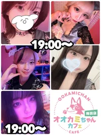 本日の出勤情報🐺