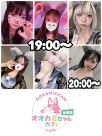 本日の出勤情報🐺