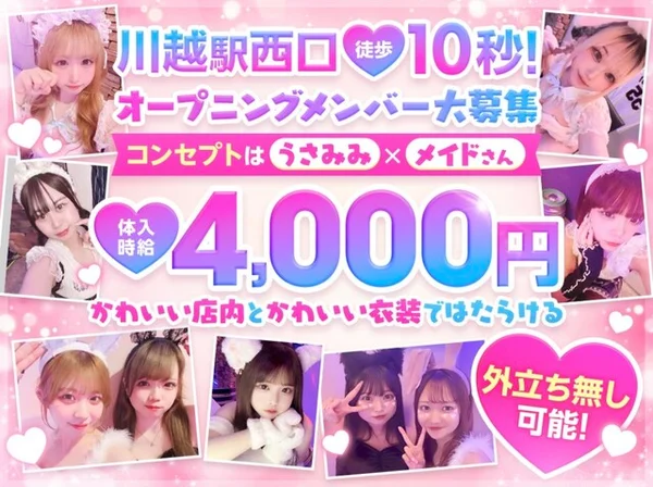 Honey Bunny（はにーばにー）