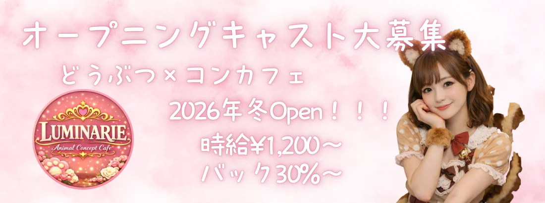 アニマル×夢の国　Luminarie-ルミナリエ-