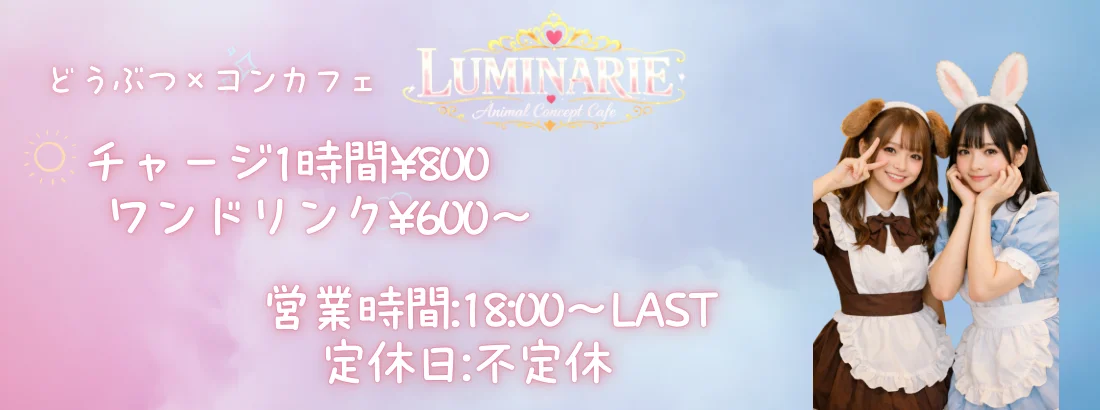 どうぶつ×コンカフェ ルミナリエ
