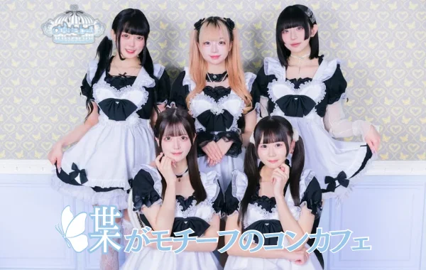 Cherie bellのイメージ