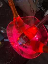 投稿：2026年1月15日 1:13