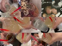投稿：2026年9月7日 17:24