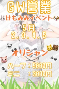 Noelイベント情報‼️