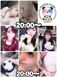 10/28(火)　本日出勤のパンダちゃん🐼