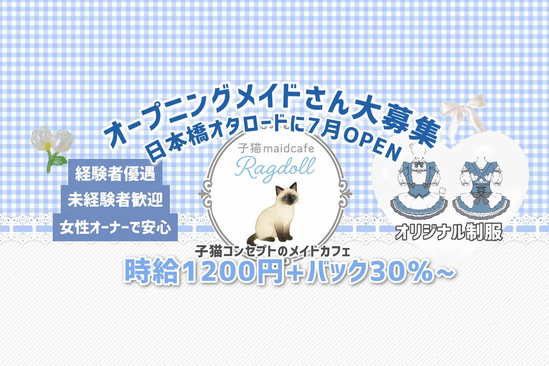 子猫maidcafeRagdoll